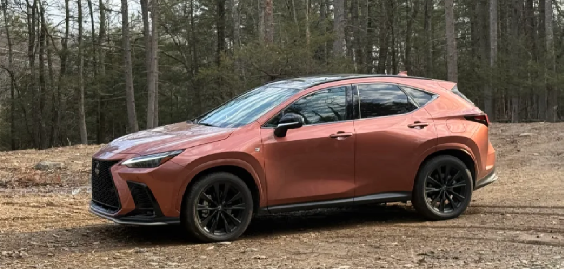 2025 Lexus NX 350 continues with purpose